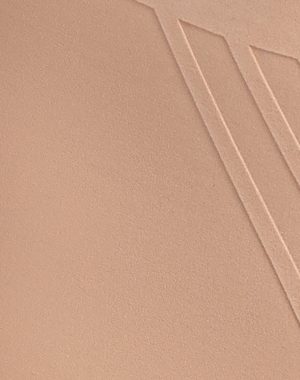 Silhouette Brief